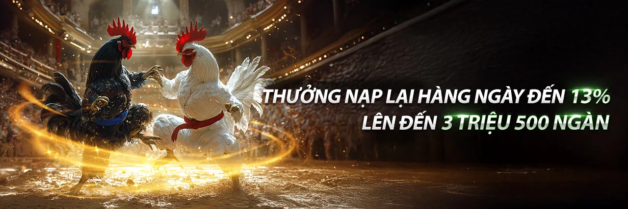Biểu ngữ trang tin tức dom88 chính thức