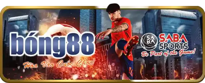 Hình ảnh các chương trình khuyến mãi và ưu đãi hấp dẫn của dom88 chính thức